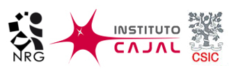 Cajal Institute